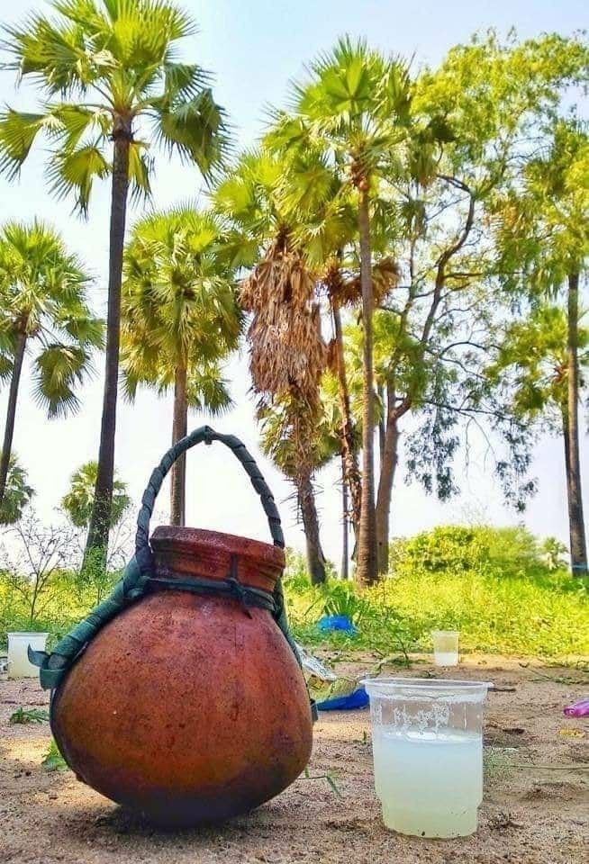 খেজুরের রস